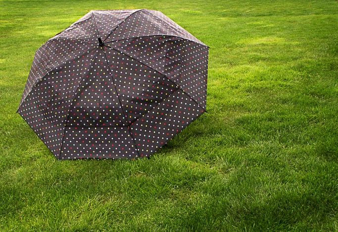 Có thể chơi golf khi sân bị ướt sau cơn mưa