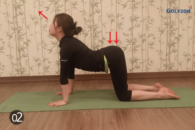 Cột sống và vai chỉ trong một lần