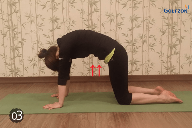 Cột sống và vai chỉ trong một lần