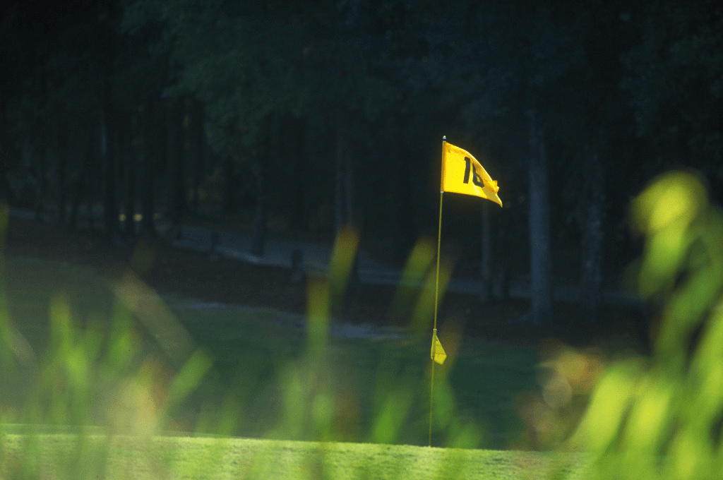 Những Cú Đánh Cơ Bản