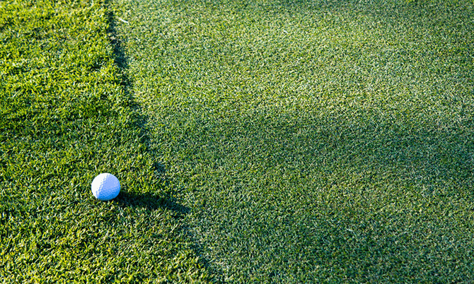 Đừng nghi ngờ khả năng của bạn