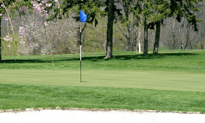 Luật chơi golf liên quan đến cột cờ golf