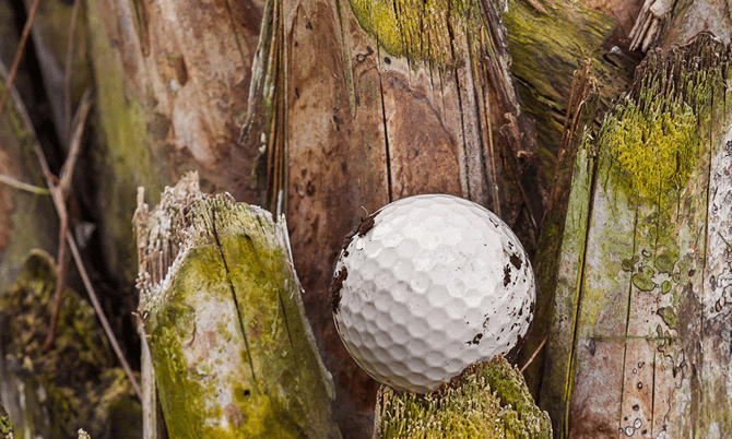 Luật Golf tại Through The Green
