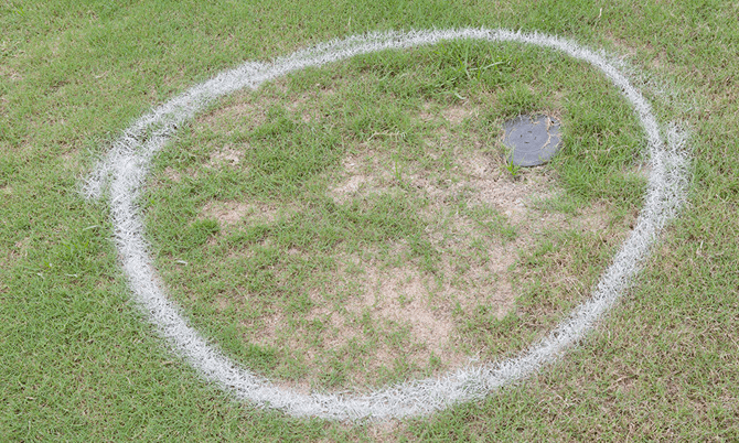 Luật Golf tại Through The Green