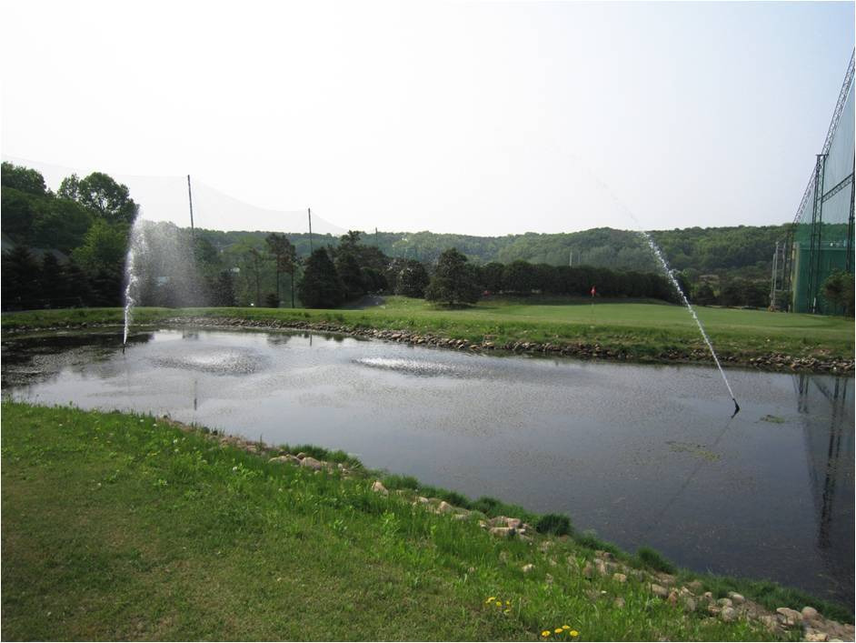 Sân golf par-3, 9 lỗ ngay tại khu vực!