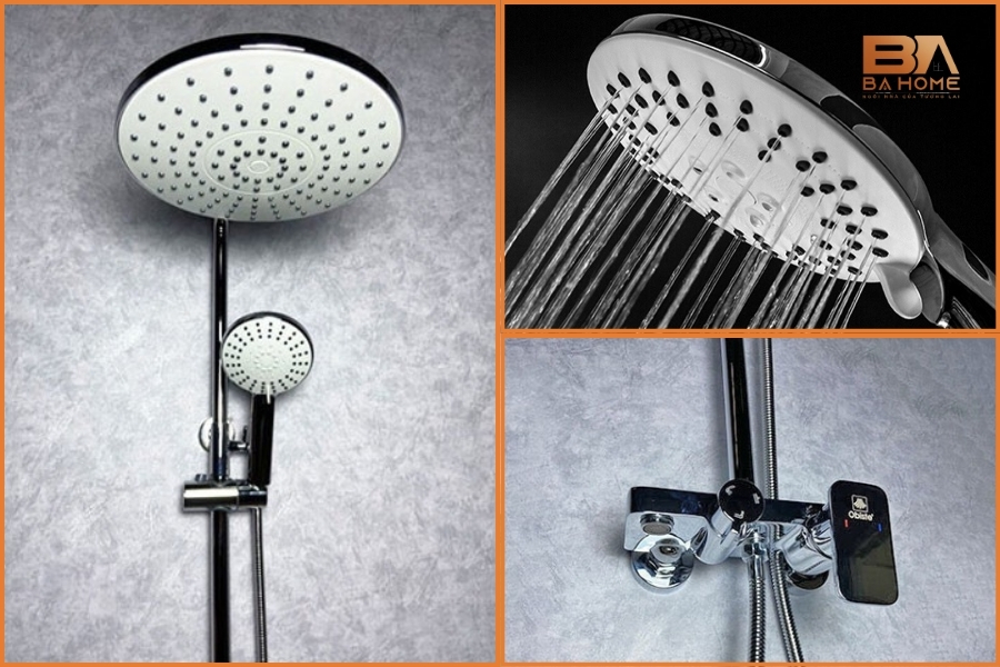 So Sánh Chi Tiết Sen Cây Tròn Và Cây Vuông