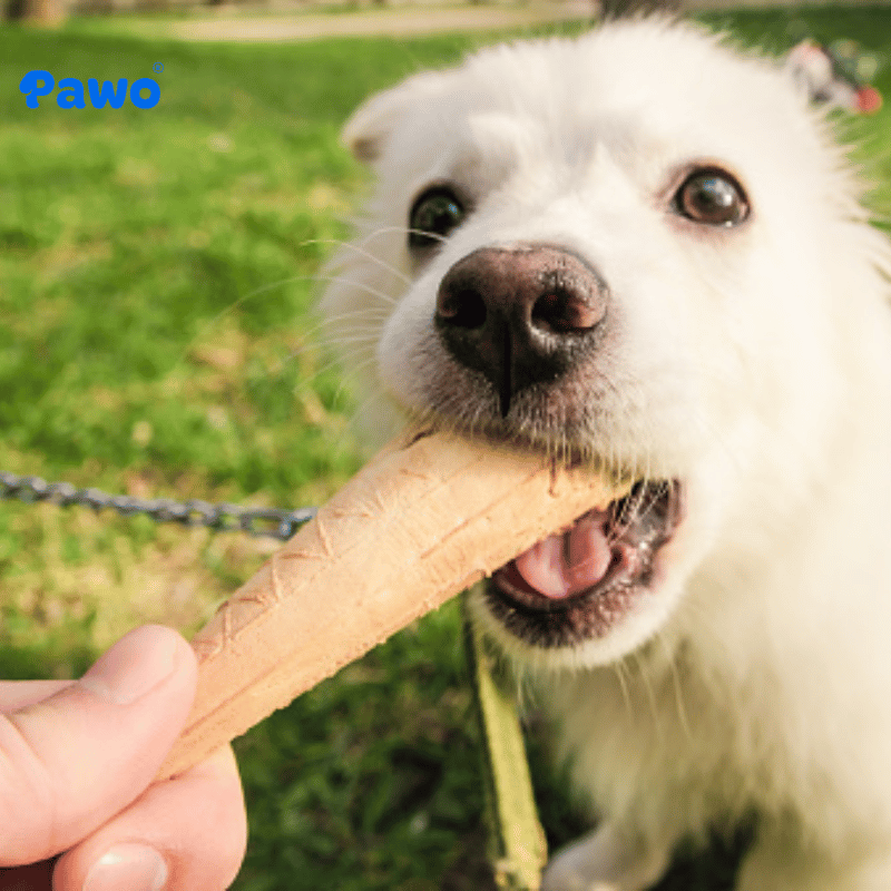 lưu ý khi chọn đồ chơi cho Boss