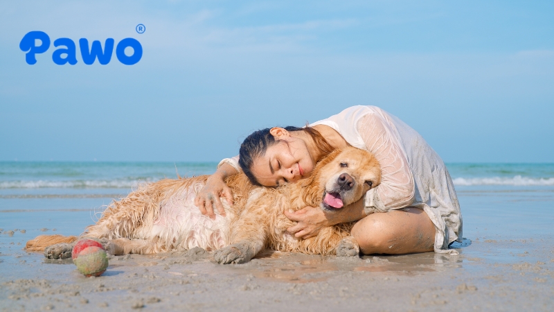 Chăm sóc tinh thần cho thú cưng là bí quyết quan trọng nhất