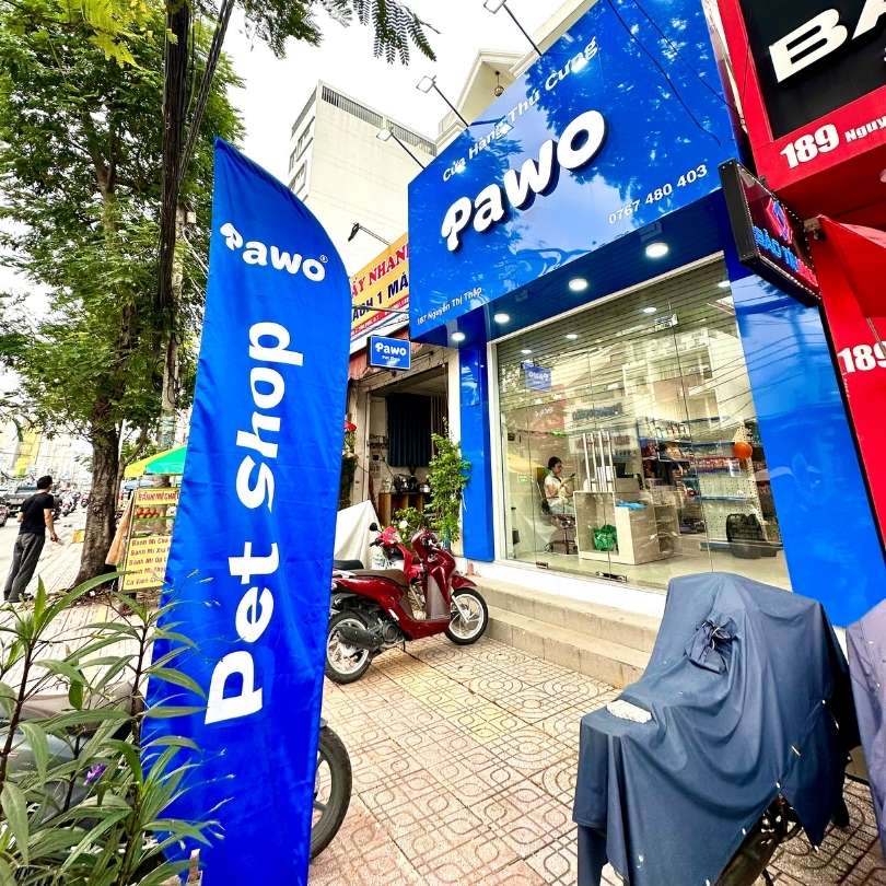 Cách sử dụng nhà vệ sinh cho mèo đúng cách tại Pawo