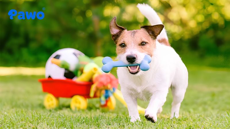 Vệ sinh phụ kiện định kỳ giúp bảo vệ sức khỏe cho các bé