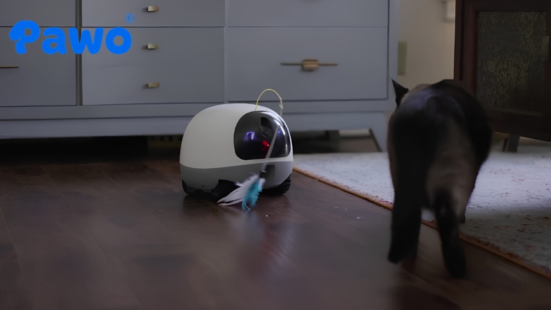 Bạn có thể nói chuyện với thú cưng thông qua loa tích hợp trên camera