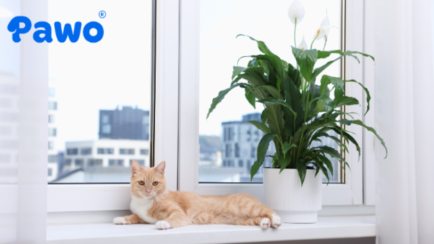 Cây hoa Ly chứa độc tố cực mạnh có thể đe dọa trực tiếp tính mạng thú cưng