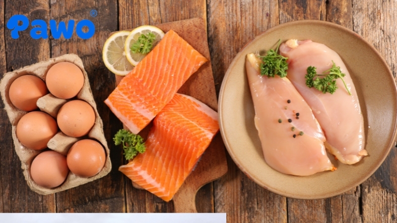 Thịt, cá, trứng giúp cơ thể chó mẹ nhanh chóng phục hồi sau sinh