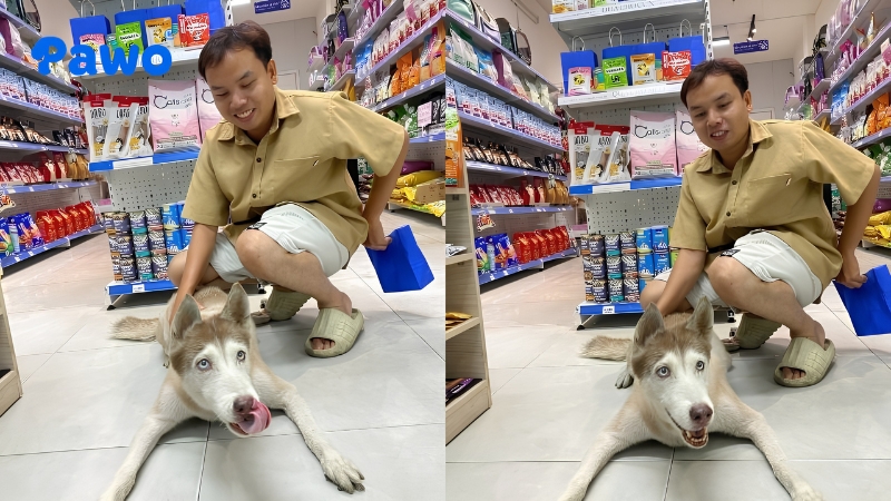 Pawo Pet Shop cung cấp đầy đủ thức ăn và phụ kiện cho chó mẹ và con