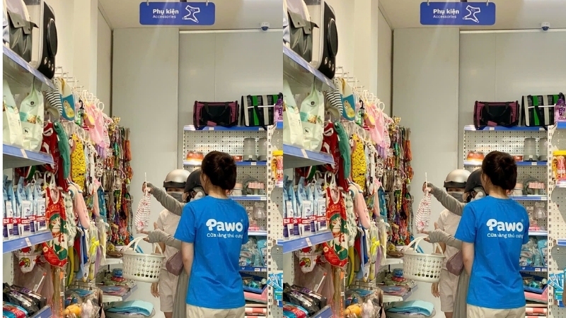 Pawo Pet Shop chuyên cung cấp các loại khăn lau vệ sinh an toàn cho thú cưng.