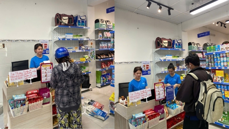 Pawo Pet Shop luôn đồng hành cùng bạn trong hành trình nuôi mèo Anh lông ngắn