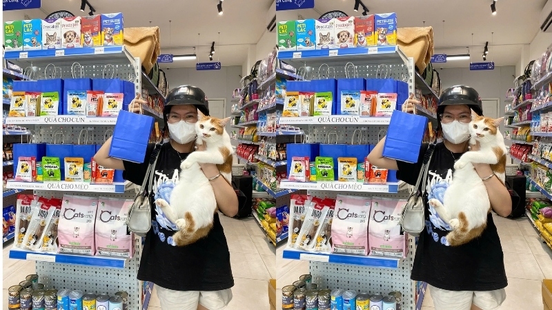 Pawo Pet Shop chuyên cung cấp nhà cây cào móng cho mèo vừa đẹp, vừa rẻ.