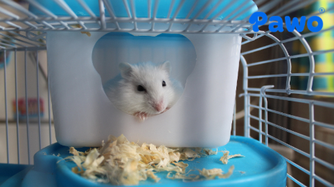 Lồng chính là không gian sống chính và không thể thiếu của Hamster