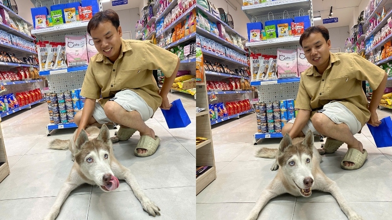Pawo Pet Shop luôn đồng hành cùng bạn tìm ra giải pháp tốt nhất cho cún cưng