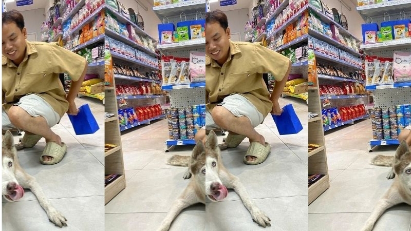 Pawo Pet Shop chuyên cung cấp các dòng sữa tắm cao cấp và phố biến nhất.