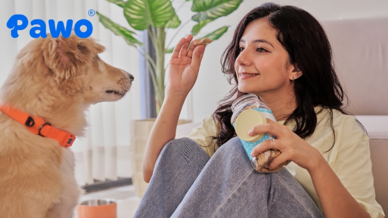 Bánh thưởng cho chó có vị thơm ngon, làm sạch răng hiệu quả.