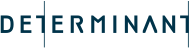 logo https://detshirts.vn/