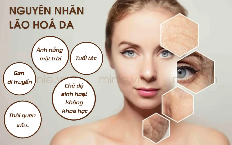 Nguyên Nhân Gây Lão Hóa Da