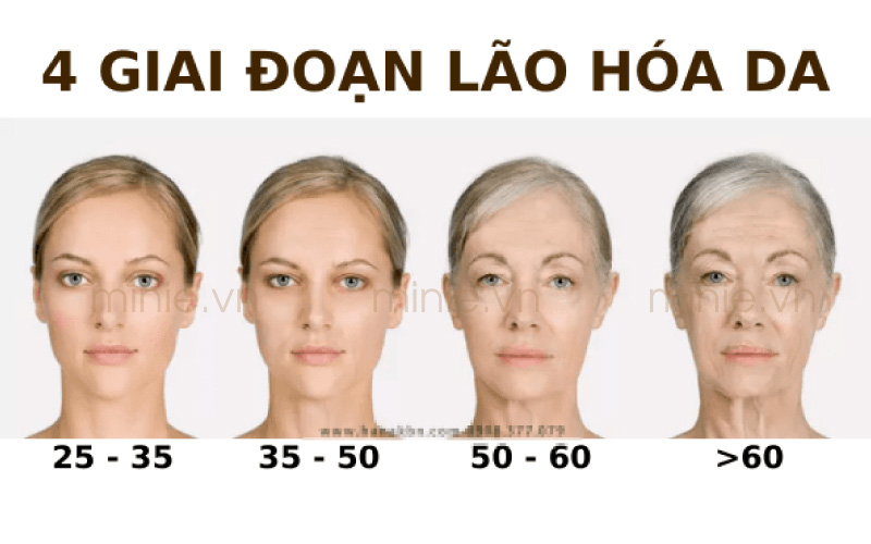 Qúa trình lão hóa da