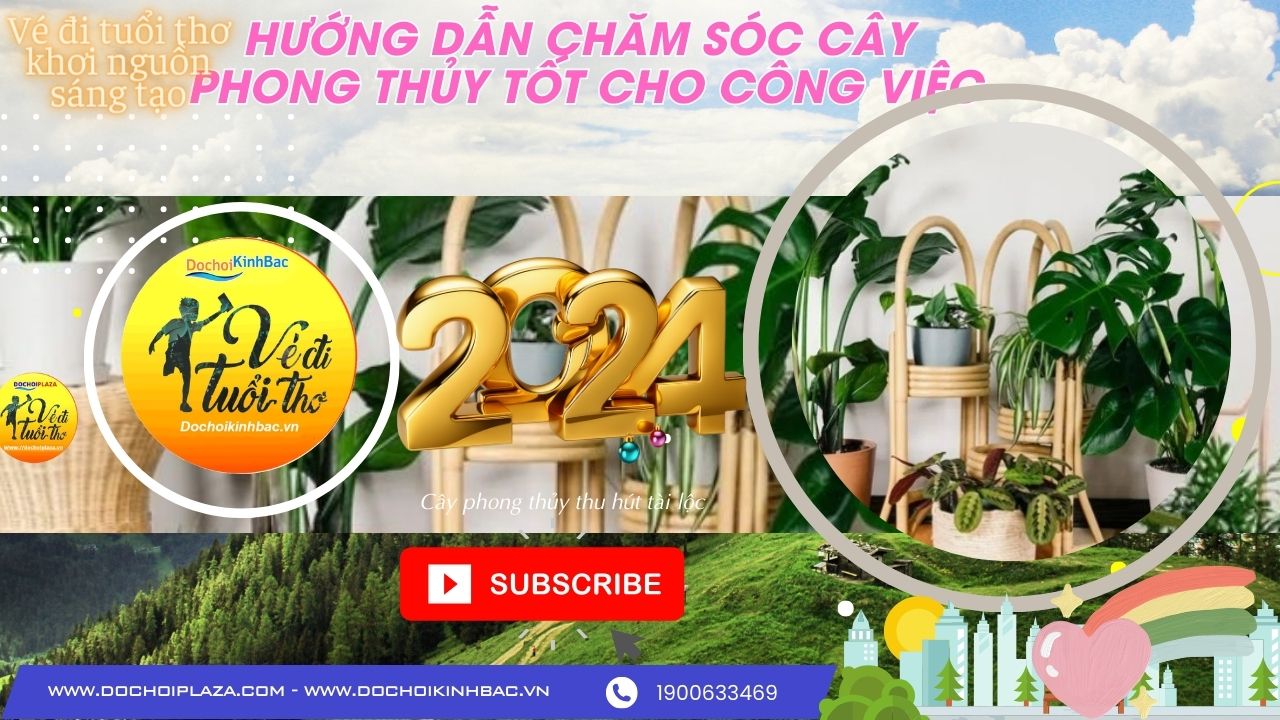 chăm sóc cây phong thủy