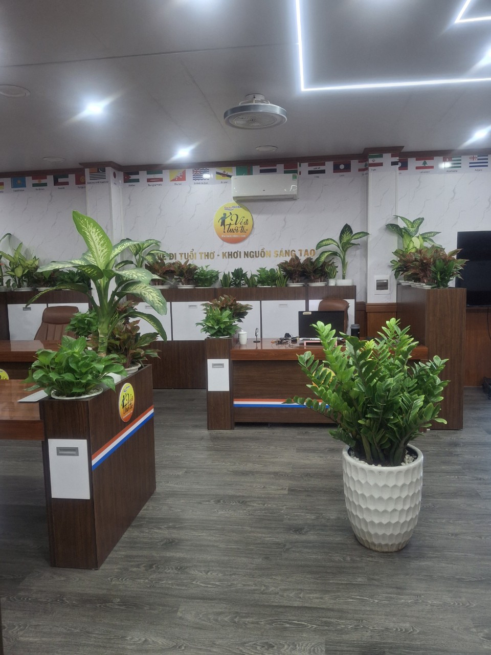 Văn phòng chi nhánh đào viên Đồ chơi Kinh Bắc