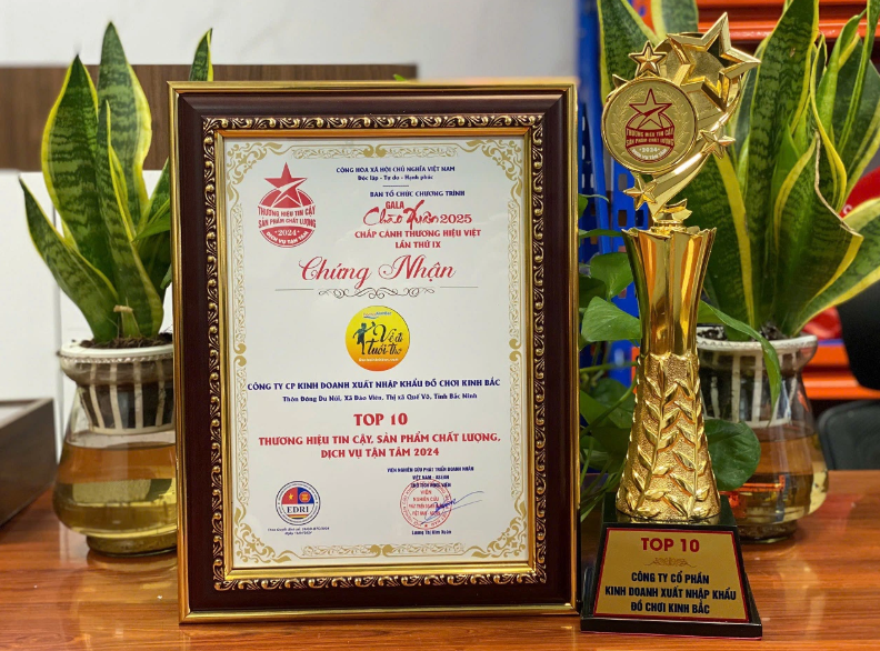 Nhà phao nhà hơi liên hoàn Dochoikinhbac - Khu trò chơi phao hơi vui nhộn