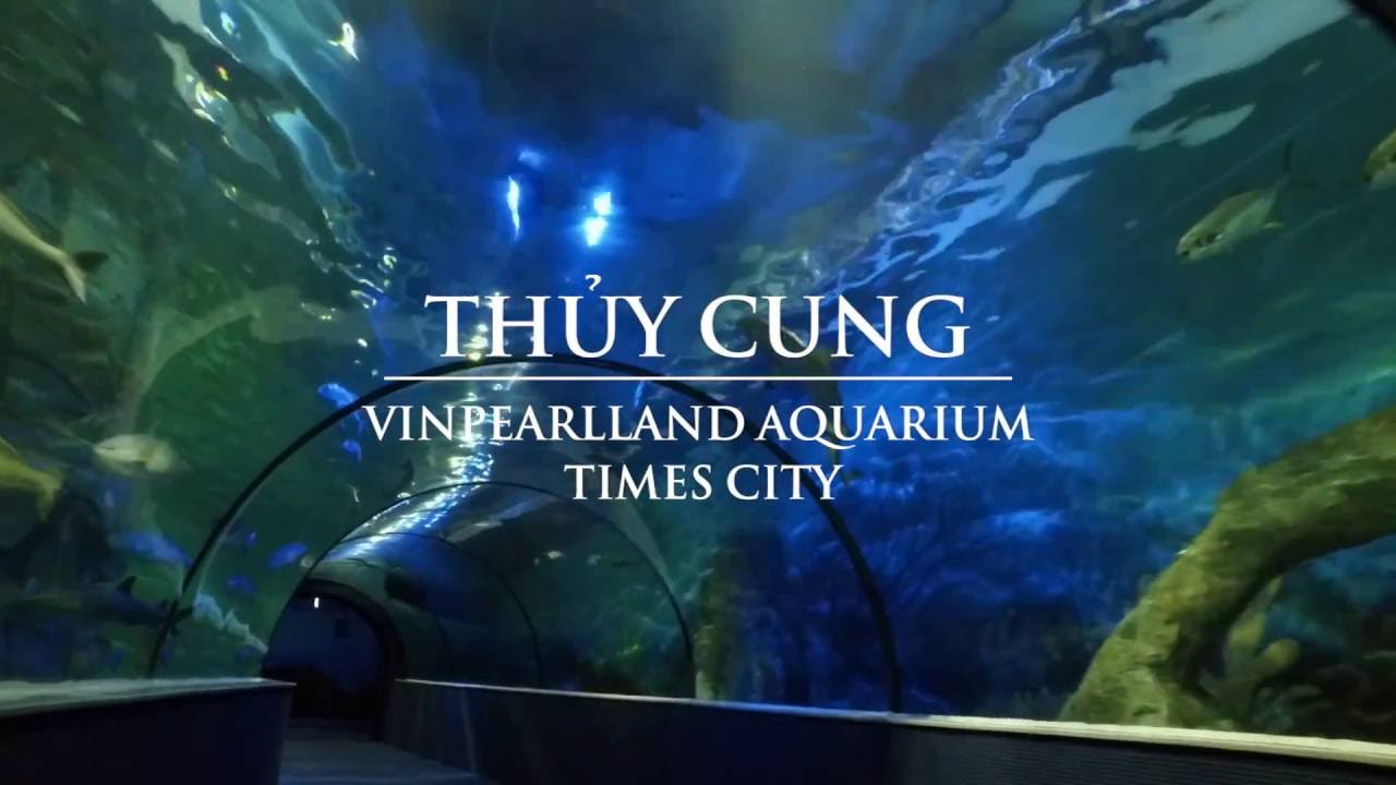 Khám Phá Khu Vui Chơi Time City - Thiên Đường Giải Trí Hiện Đại Giữa Lòng Hà Nội