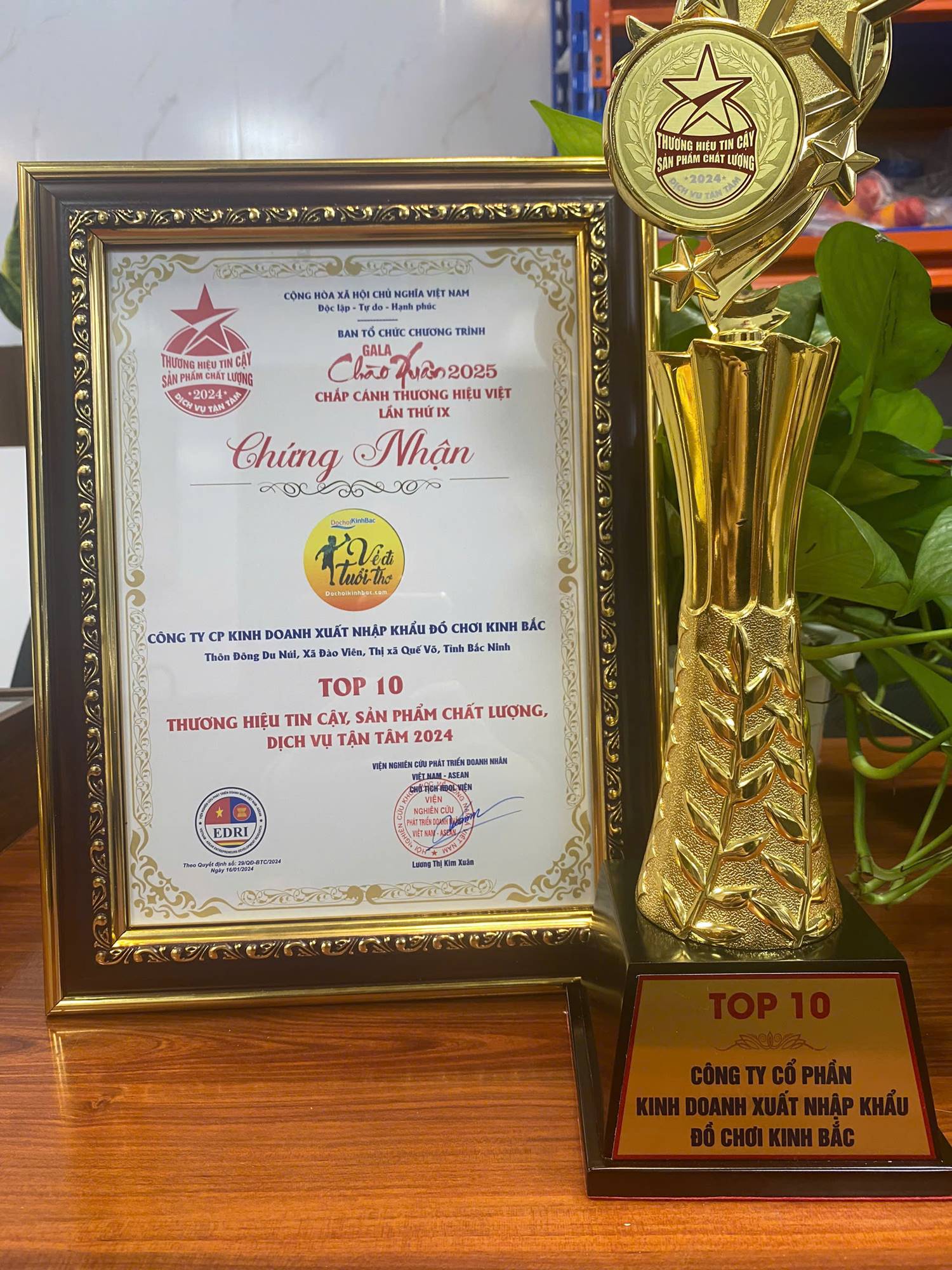 Đồ Chơi Kinh Bắc: Top 10 Thương Hiệu Tin Cậy Với Sản Phẩm Chất Lượng Và Dịch Vụ Tận Tâm