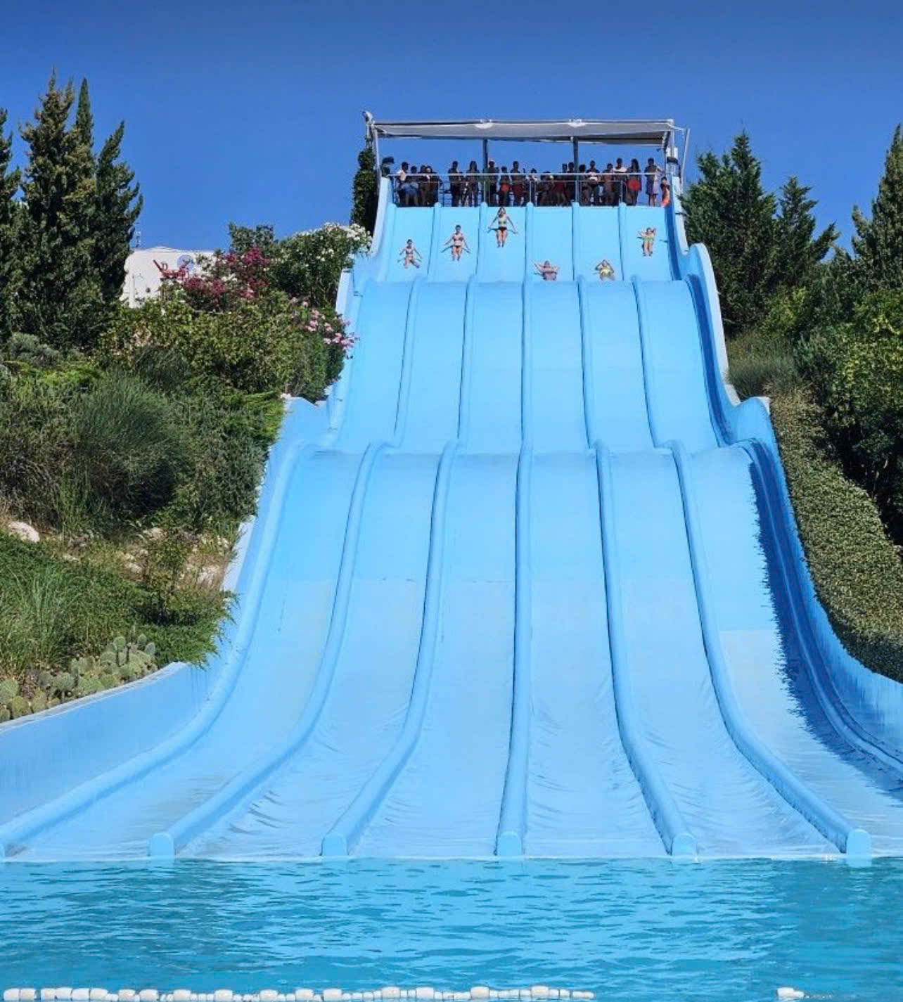 ĐỪNG XÂY BỂ BƠI NẾU BẠN CHƯA HIỂU MÔ HÌNH SINH LỜI KÉP NÀY