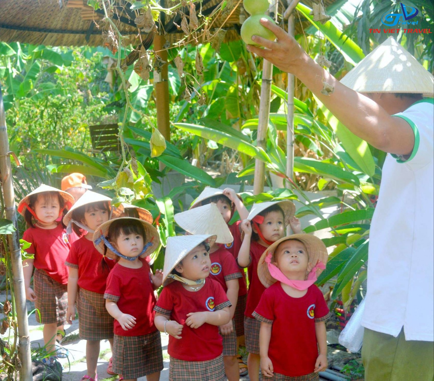 Green Noen – Nông Trang Xanh Củ Chi: Điểm Đến Sinh Thái Hấp Dẫn Cho Cả Gia Đình