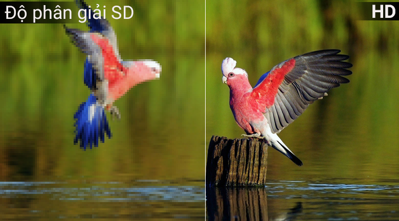 Độ phân giải màn hình là gì ? Nên chọn tivi Full HD,4K,8K