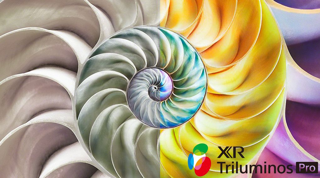Google Tivi OLED Sony 4K 55 inch XR-55A80L