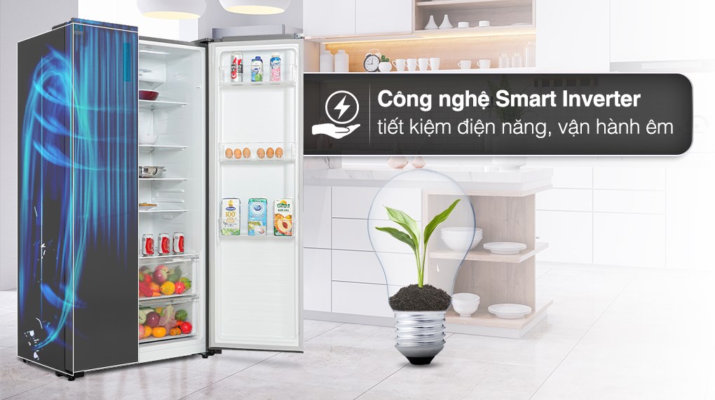 Tủ lạnh LG Inverter 519 lít Side By Side GR-B256JDS