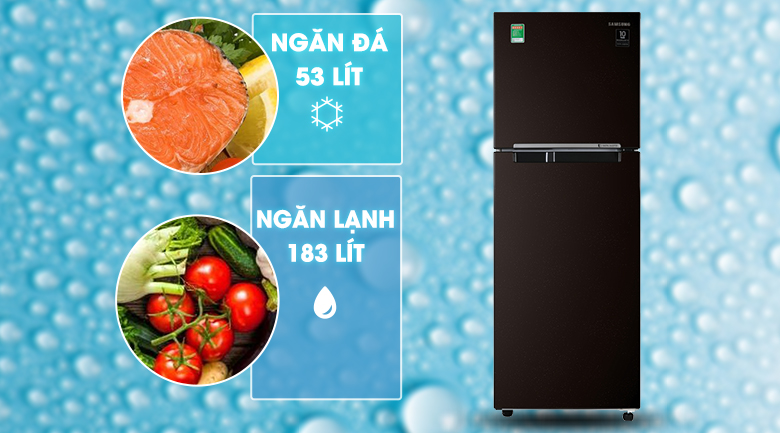 Tủ Lạnh Mini Giá Rẻ: Phù Hợp Với Người Độc Thân và Văn Phòng Nhỏ
