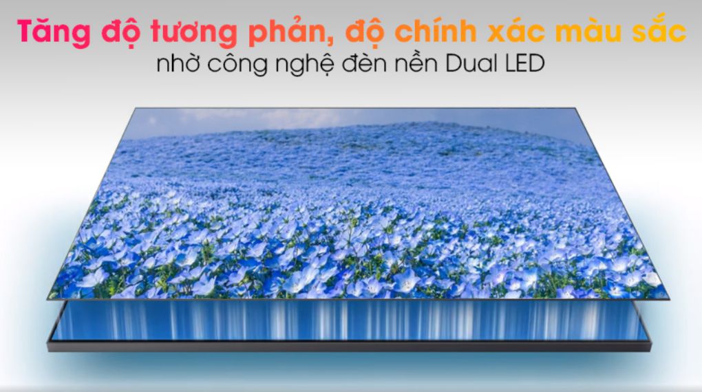 Smart Tivi QLED 4K 65 inch Samsung QA65Q65A
