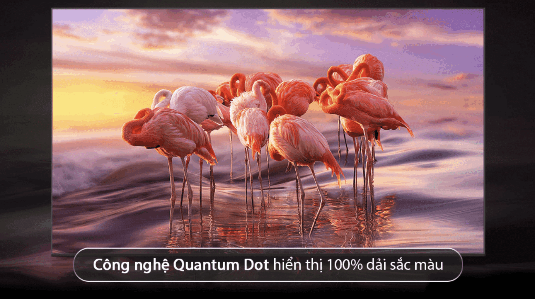 So sánh Tivi Samsung QLED và 4K LED: Nên chọn loại nào?