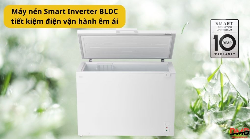 Tủ đông LG Inverter 291 lít C30WH