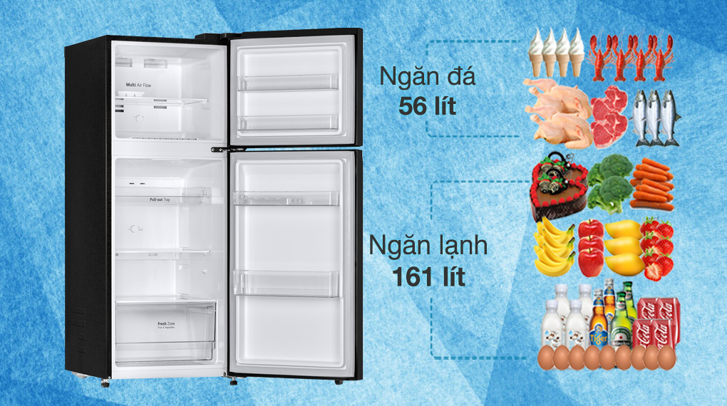 Tủ lạnh LG 217 lít LTB21BLMD