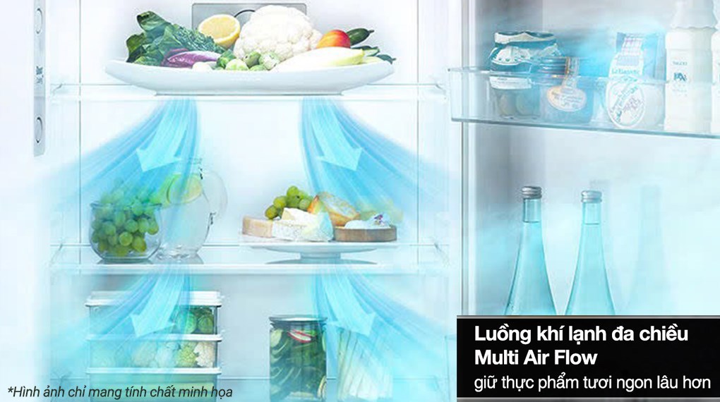 Tủ lạnh LG 217 lít LTB21BLMD