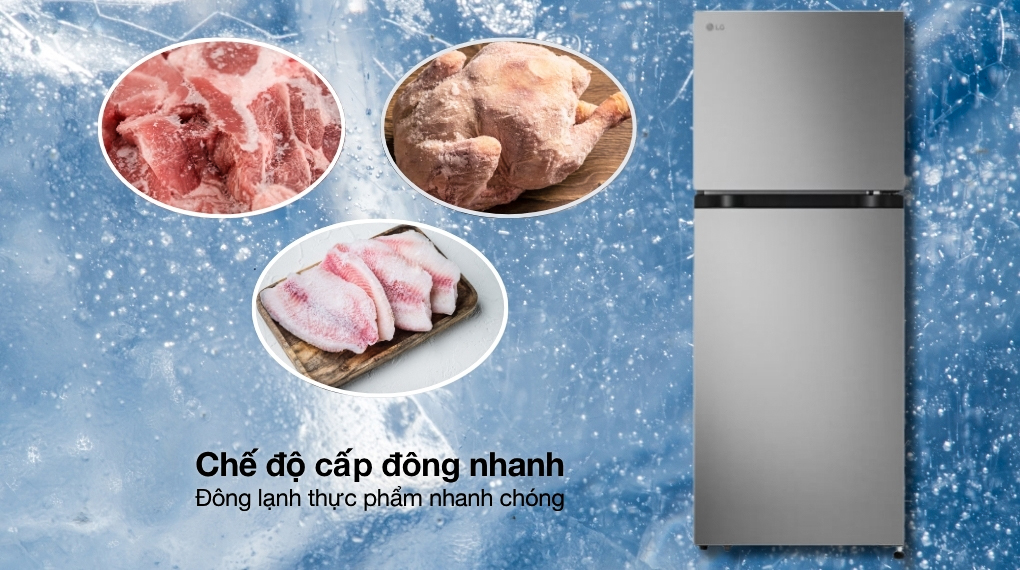 Tủ lạnh LG 217 lít LTB21SVMD
