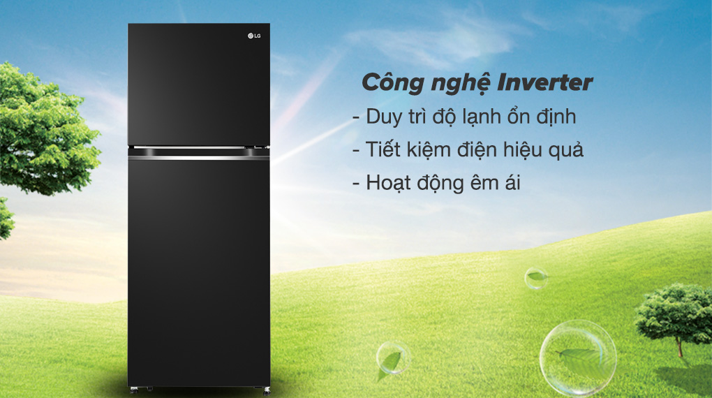 Tủ lạnh LG Inverter 217 lít GV-B212WB