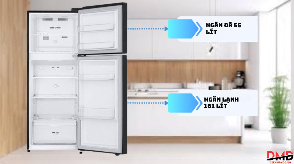 Tủ lạnh LG Inverter 217 lít LTB21BLMI