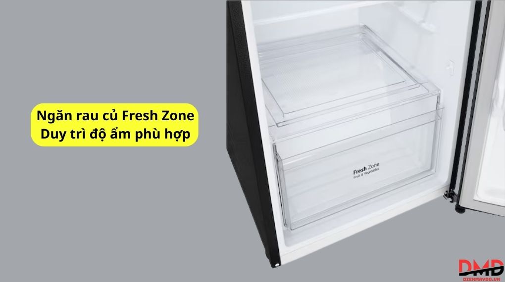 Tủ lạnh LG Inverter 217 lít LTB21BLMI