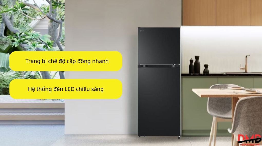 Tủ lạnh LG Inverter 217 lít LTB21BLMI