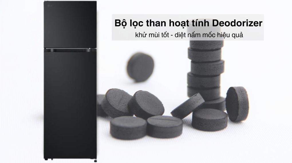 Tủ lạnh LG Inverter 266 lít LTB26BLM